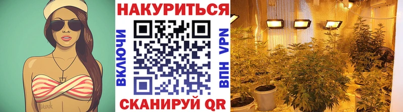 Хочу наркоту Сокол Канабис  А ПВП  ГАШИШ  ЭКСТАЗИ  Меф мяу мяу 