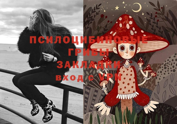 гидра Балабаново
